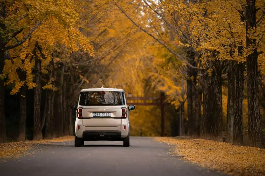 Kia ray 適用族群多元